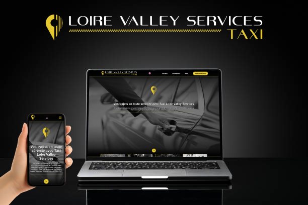 Taxi Loire Valley Services